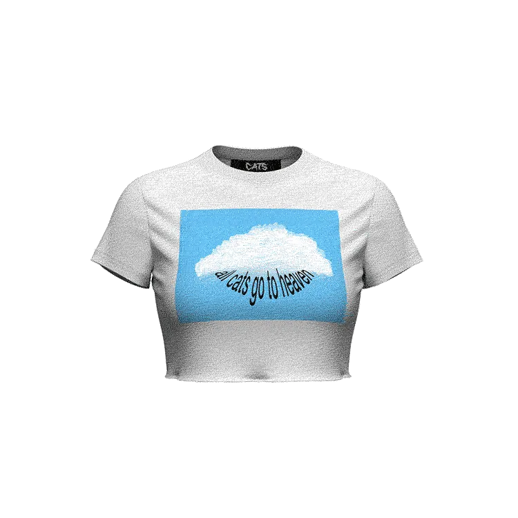 All Cats Go to Heaven Crop Top