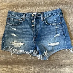 Aritizia Denim Forum “The Boyfriend”Shorts SZ 28