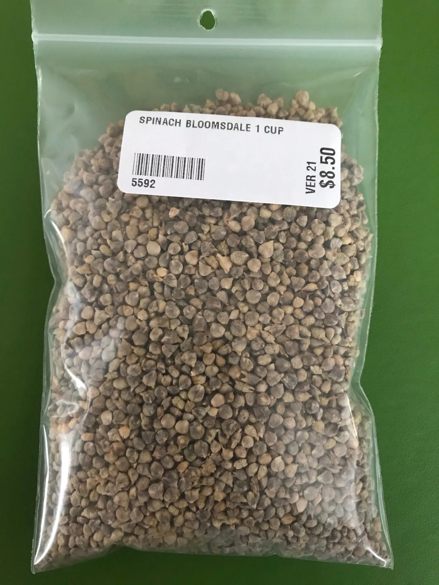 Bloomsdale Long Standing Spinach Seeds- 1 Cup- Bulk