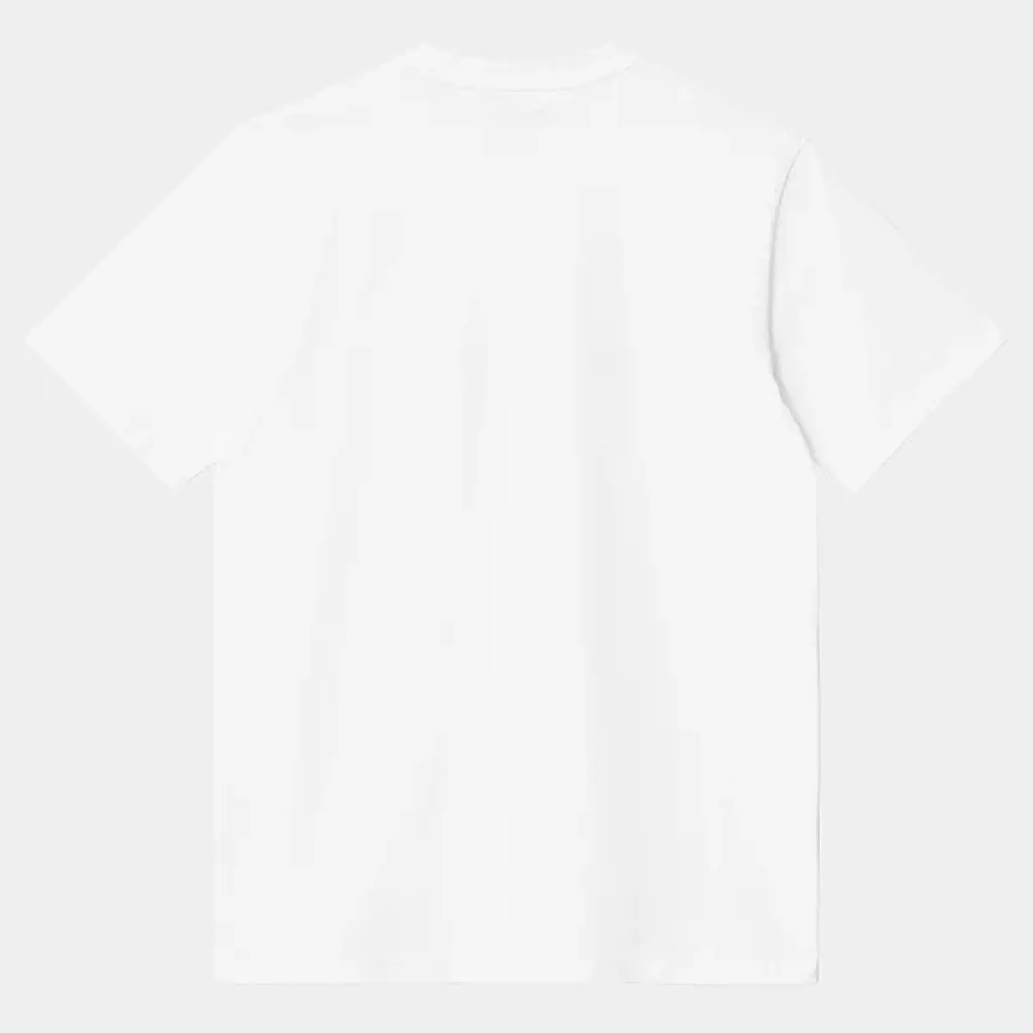Carhartt WIP - Script T-Shirt - White / Black