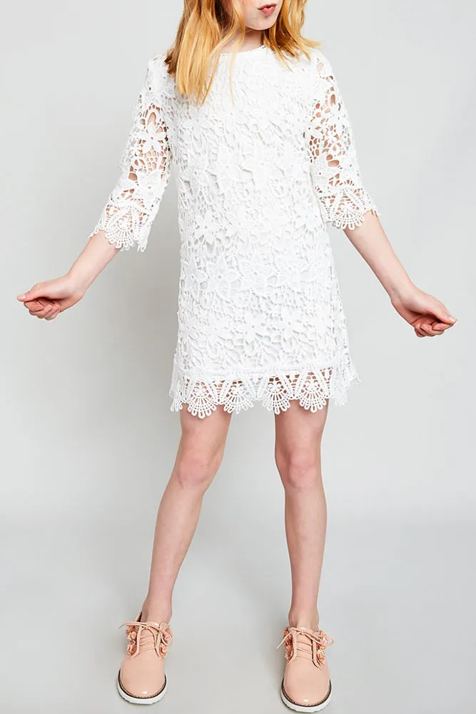 Lace Shift Dress