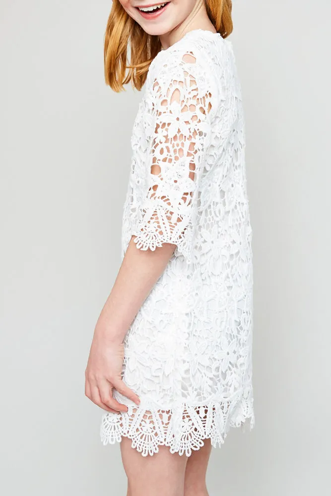 Lace Shift Dress