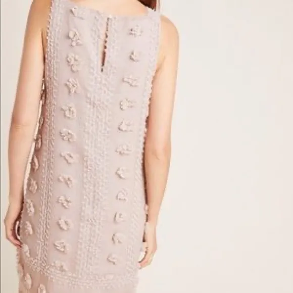 NEW Mischa Embroidered Shift Dress