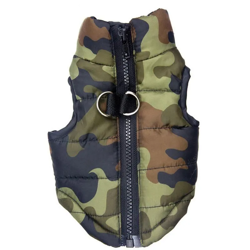 Pattern French Bulldog Jacket