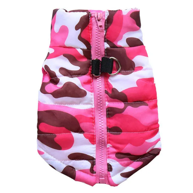 Pattern French Bulldog Jacket