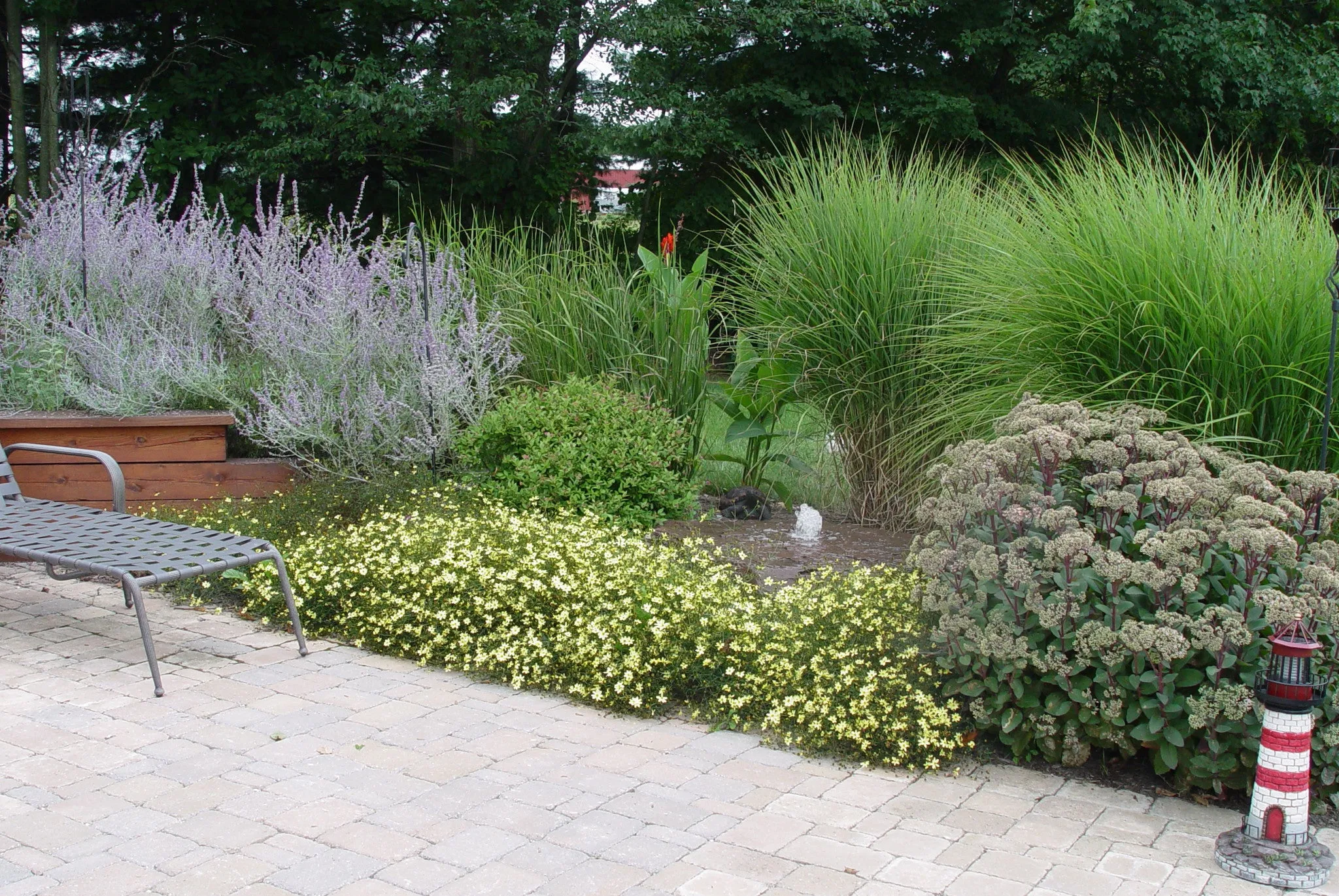 Perovskia Filigran' Russian Sage