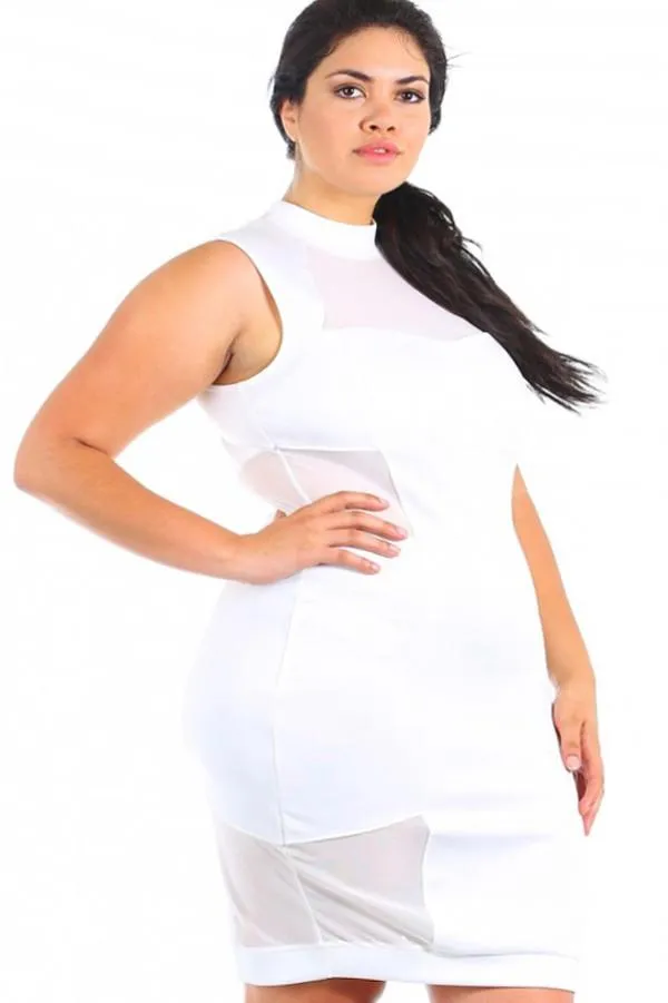 Plus Size Sexy Mesh Contrast Mockneck Dress
