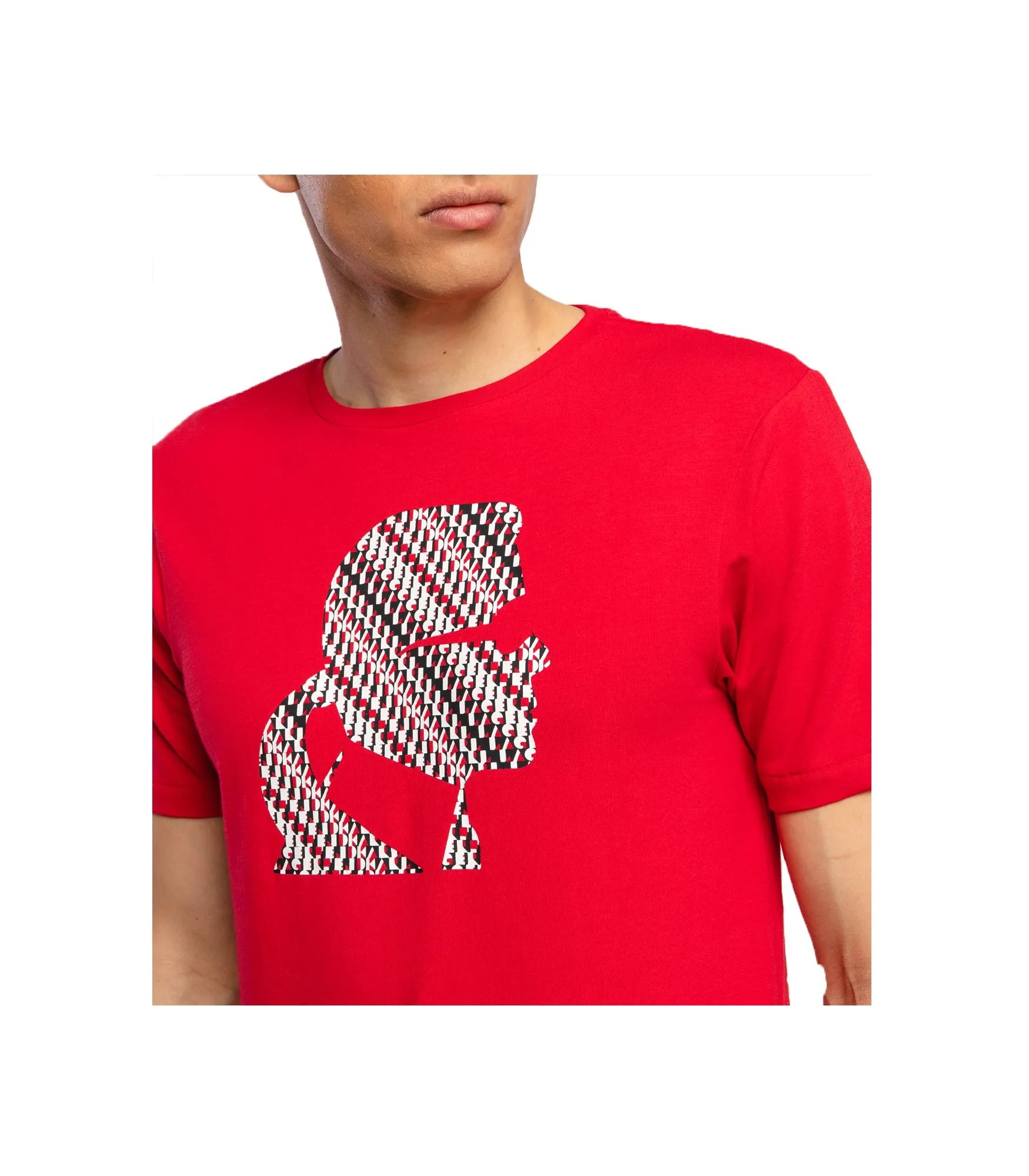 T-Shirt Graphic Font - Red/Black