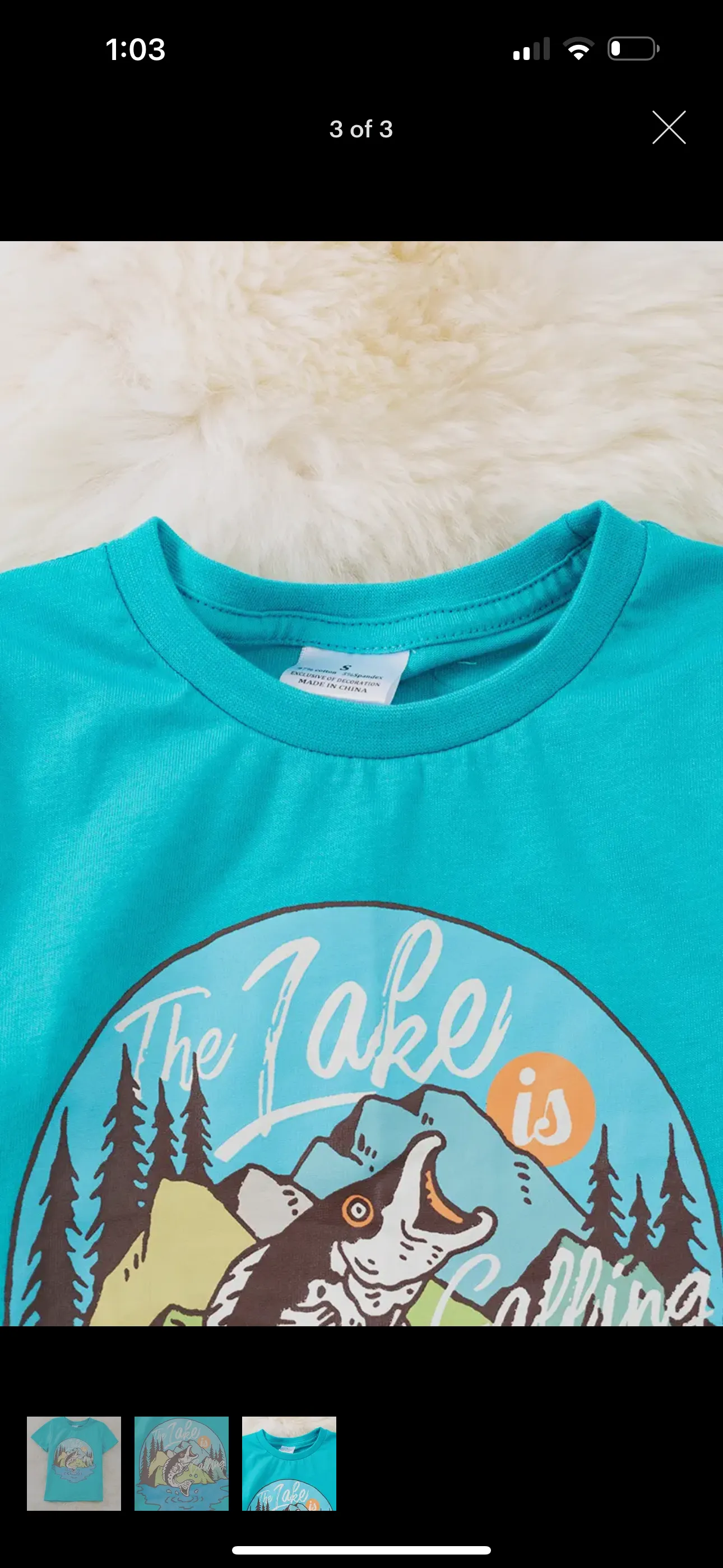 The Lake Is Calling Tee: Aqua